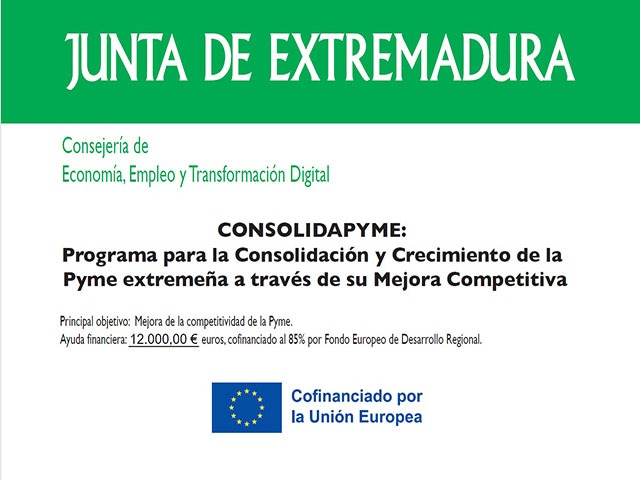 Programa CONSOLIDAPYME